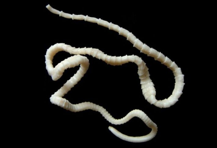 brede lintworm infecteert mensen via vissen